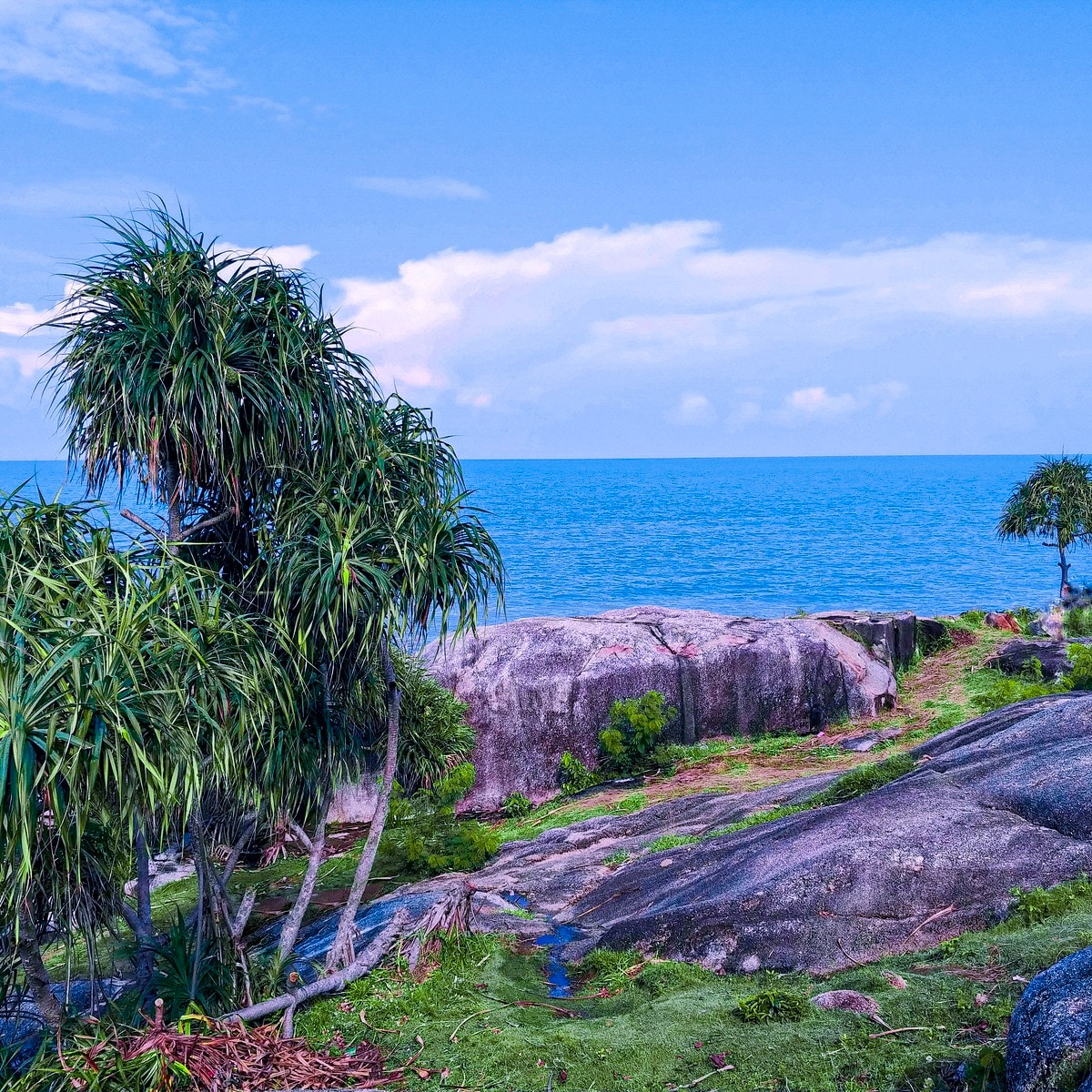Rat Island (Pulau Tikus)