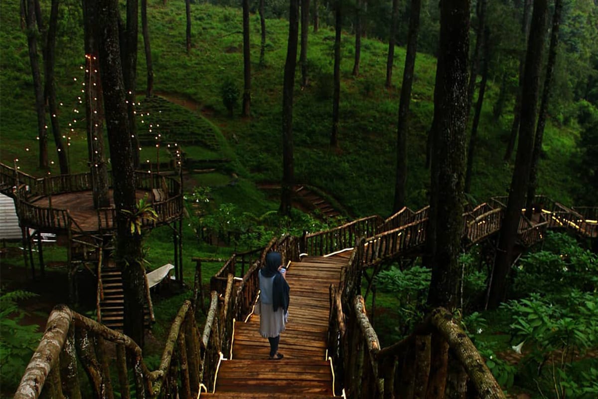 FORESTRA MUSIC FESTIVAL at Cikole Orchid Forest, Lembang : Gorgeous Music in the Forest